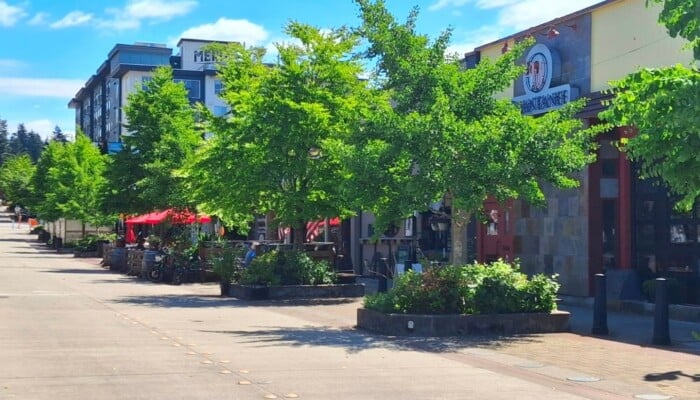Bothell_main_street By Traininteriorguy - Own work, CC BY 4.0, httpscommons.wikimedia.orgwindex.phpcurid=192886977